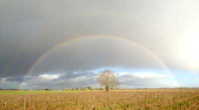 arco iris en el campo de Toledo