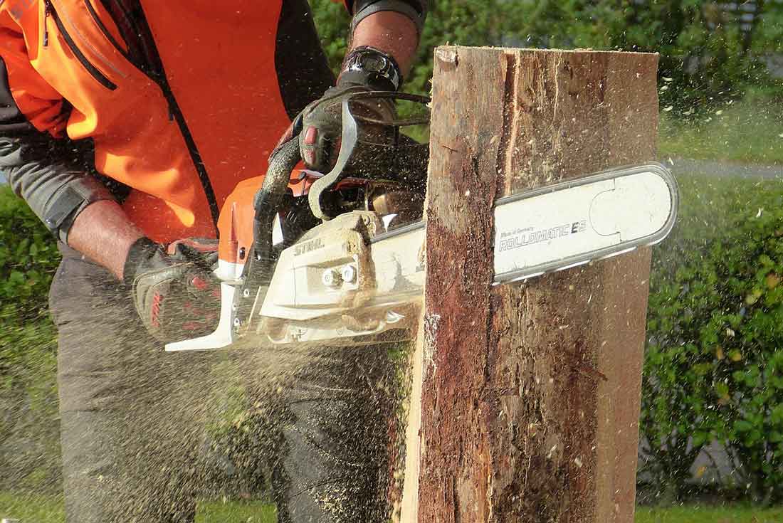 motosierra cortando tronco de árbol